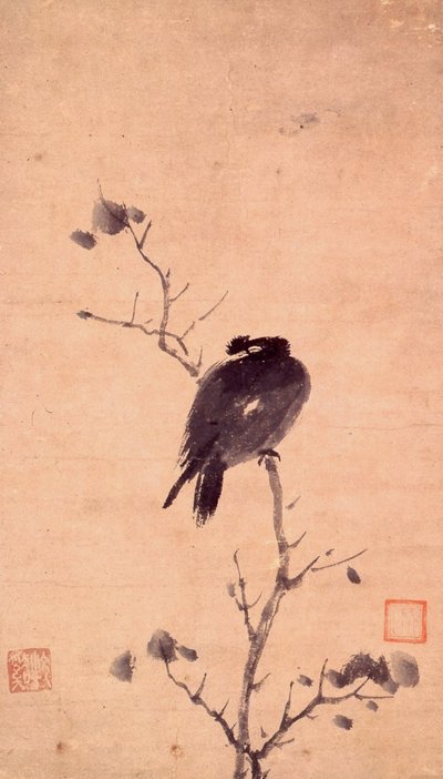 Oiseau MYNA - Mu Xi